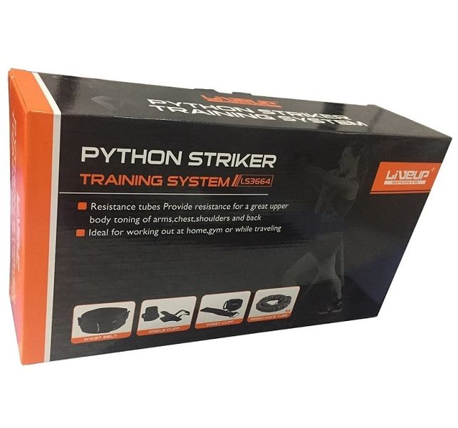 Набір для тренувань LiveUp Python Striker Training System LS3664 LS3664 фото