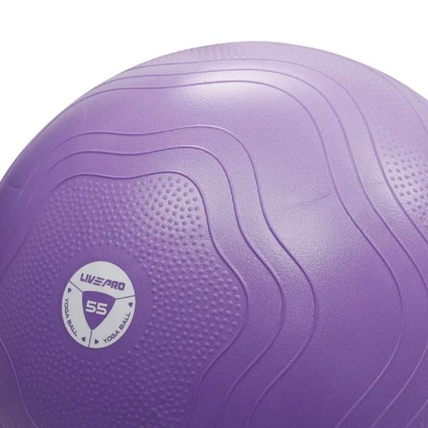 Фітбол зміцнений 55 см LivePro Anti-Burst Core-Fit Exercise Ball LP8201-55 LP8201-55 фото