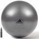 Фитбол Adidas Gymball 75 см серый ADBL-11247GR фото 1